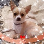 Carmen Lerma Hidalgo - @carmen_lerma_hidalgo - Instagram