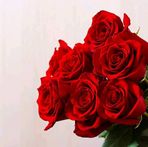 Carmen Levesque - Facebook
