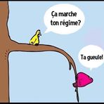 Carmen Levesque - Facebook