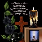 Carmen Lipan - Facebook
