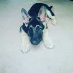 carmen carter mahone - @carmencartermahon - Instagram