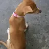 carmenmahoney  - @carmenmahoney - TikTok