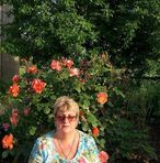 Carmen Metea - Facebook