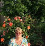 Carmen Metea - Facebook