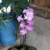 Carmen Miner - @carmen.miner - TikTok