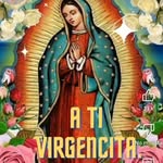 Carmen Mite - @mite.carmen - Instagram