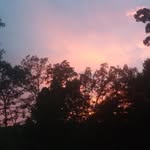 Carmen mixon - @carmen_mixon - Instagram
