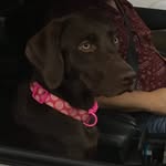 Carmen🐶😊💕♥️ - @carmen_mock - Instagram