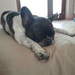 Carmen monaco - @monaco807 - Instagram