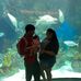 Carmen Monreal - Facebook