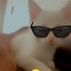 Carmen Monreal - @maria_mnrl - TikTok