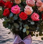 Carmen Monroy - Facebook