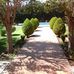 Carmen Morell - Facebook