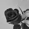 Carmen - @carmenozn.2 - TikTok