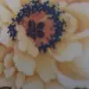 carmen parillo - @carmen.parillo7 - TikTok