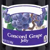 theofficial grapejelly acount - @cameronpassmore1 - TikTok