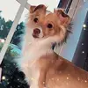 Carmen Pecina - Villafaña - @carmenpecinavilla - TikTok