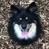 Pepper - @peppercarmen - TikTok