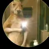 Maru - @carmenperdomo883 - TikTok