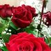 Carmen Pereda - Facebook
