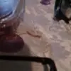 Carmen Perozo - @carmen.perozo36 - TikTok