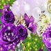 Carmen Pineiro - Facebook