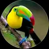 Carmen pop - @carmen.pop53 - TikTok