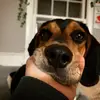 Rᴀɴᴅᴀʟʟ 𝑀𝑖𝑙𝑙𝑒𝑟 - @randall.carmen - TikTok