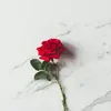 Carmen Rich - @carmenm567 - TikTok