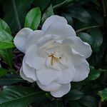 Carmen Richardson - @dangman10 - Instagram