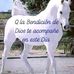 Carmen Rincon - Facebook