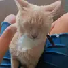Carmen Rincon - @carmen.rincon5 - TikTok