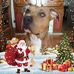 Carmen Robert - Facebook