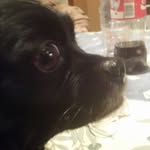 Carmen Roberto - @carmen.roberto.75 - Instagram