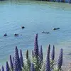 Carmen Roberto - @carmen.roberto0 - TikTok