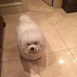 Carmen Roberts - @carmen_roberts2016 - Instagram