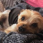 Carmen Roberts Williams - @carmenrobertswilliams - Instagram