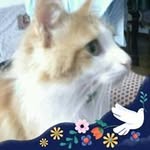 Rosita Carmen Roca - @carmen.roca.58 - Instagram