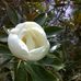 Carmen Roe - Facebook