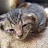 Carmen Rojas - @carmen.rojas5050 - TikTok