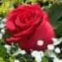 Carmen rojo - @carmenrojo2 - TikTok