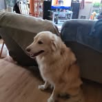 Carmen Root - Facebook