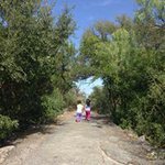 Carmen Roque - @carmen.roque.927 - Instagram