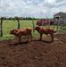 Rancho El Carmen - Facebook