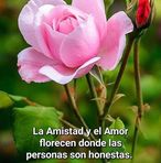 Carmen S Cardona - Facebook