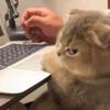 carmenschick249 - @carmenschick249 - TikTok