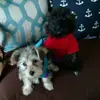 carmensnyder - @carmensnyder - TikTok