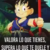Carmen Solano - @carmensolano74 - TikTok
