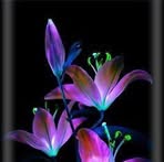 Carmen Soria Zurita - Facebook
