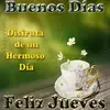 carmensoria_ - @carmensoria_ - TikTok
